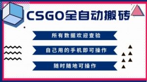 CSGO全自动搬砖，年底钱回家好项目，当天可拿到结果，新手小白轻松月入1W+【揭秘】-泱泱学习社