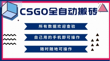 CSGO全自动搬砖,年底钱回家好项目,当天可拿到结果,新手小白轻松月入1W+【揭秘】-泱泱学习社