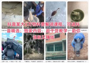 抖音某大V万物科普解说课程，可进抖音精选，独家内容，超干货教学，助你涨粉又賺钱-泱泱学习社