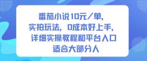 番茄小说10米每单,实拍玩法,0成本好上手,详细实操教程和平台入口适合大部分人-泱泱学习社