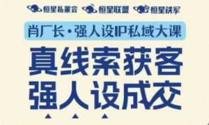 肖厂长·强人设IP私域大课11月深圳站大课(音频+字幕)-泱泱学习社
