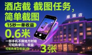 酒店截图任务,简单截图,15秒一单收益0.6米,一部手机不限地方时间,可矩阵单日收益3张【揭秘】-泱泱学习社