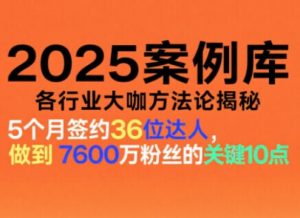 2025案例库,收录各行业大咖的方法论,各行业大咖方法论揭秘-泱泱学习社