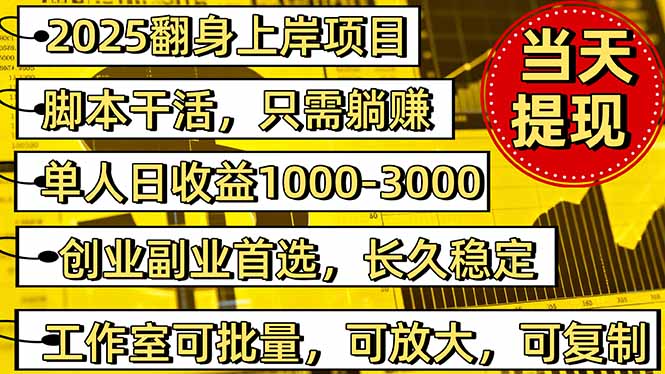 2025翻身上岸项目脚本干活，内部客户经理内部开号，单人日收益1000-300…-泱泱学习社