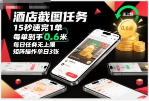 酒店截图任务,15秒速完1单,每单到手0.6米,每日任务无上限,全网首发玩法,矩阵操作单日3张【揭秘】-泱泱学习社