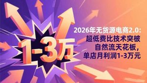 2026年无货源电商2.0：超低费比技术突破自然流天花板，单店月利润1-3万元-泱泱学习社