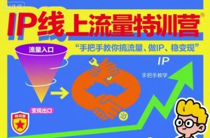 IP线上流量特训营,手把手教你搞流量、做IP、稳变现-泱泱学习社