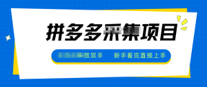 拼多多电商采集，一小时50+，操作简单，零投资-泱泱学习社