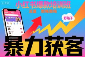 小红书爆款培训班，小红书获客野路子流量打法，暴力持续获客-泱泱学习社