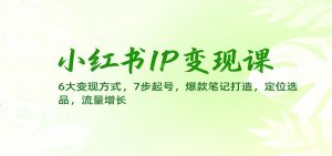 小红书IP变现课:6大变现方式,7步起号,爆款笔记打造,定位选品,流量增长-泱泱学习社