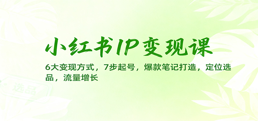 小红书IP变现课:6大变现方式,7步起号,爆款笔记打造,定位选品,流量增长-泱泱学习社