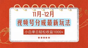 11月~12月视频号分成最新玩法，小白单日轻松收益1000+-泱泱学习社
