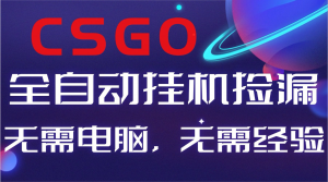 【副业好项目】全球火爆游戏CSGO自动捡漏，新手小白日入500+-泱泱学习社