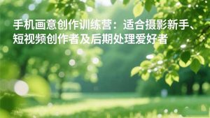 手机摄影之画意创作训练营:适合摄影新手、短视频创作者及后期处理爱好者-泱泱学习社