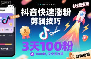 抖音快速涨粉剪辑技巧，3天1000粉，安全无违规-泱泱学习社