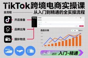 TikTok跨境电商实操课，从入门到精通的全实操流程-泱泱学习社