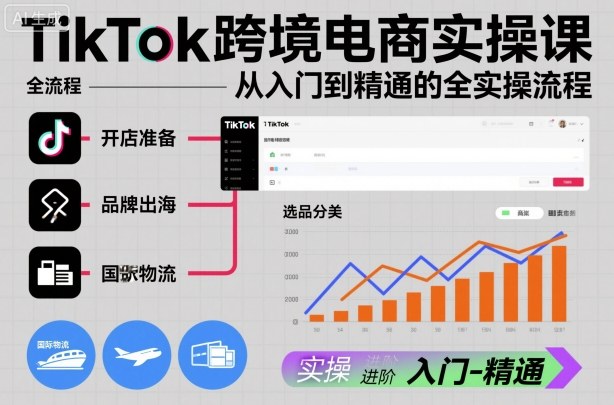 TikTok跨境电商实操课，从入门到精通的全实操流程-泱泱学习社