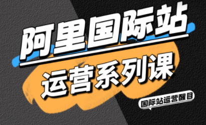 醒目老师·阿里国际站运营系列课(更新11月)-泱泱学习社