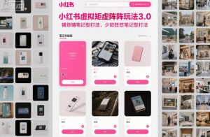 小红书虚拟矩阵玩法3.0,铺货铺笔记型打法,少款狂怼笔记型打法-泱泱学习社