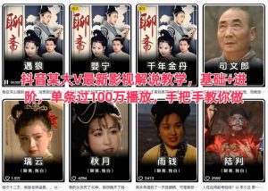 抖音某大V最新影视解说教学，基础+进阶，单条过100万播放，手把手教你做-泱泱学习社