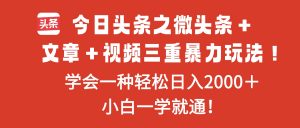 今日头条之微头条＋文章＋视频三重暴力玩法，学会一种轻松日入2000＋，...-泱泱学习社