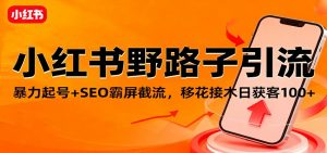 小红书野路子引流，暴力起号+SEO霸屏截流，移花接木日获客100+-泱泱学习社