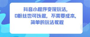 抖音小程序变现玩法，0粉丝也可以做，不需要成本，简单的玩法教程-泱泱学习社