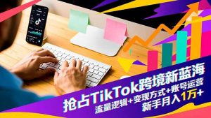 抢占TikTok跨境新蓝海：流量逻辑+变现方式+账号运营，新手月入1万+-泱泱学习社