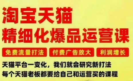 淘宝天猫精细化爆品运营课，免费流量打法-付费广告放大-利润增长-三大核心痛点，一次全部解决-泱泱学习社