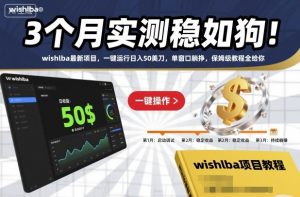 3个月实测稳如狗!wishlba最新项目,一键运行日入50美刀,单窗口躺挣,保姆级教程全给你【揭秘】-泱泱学习社