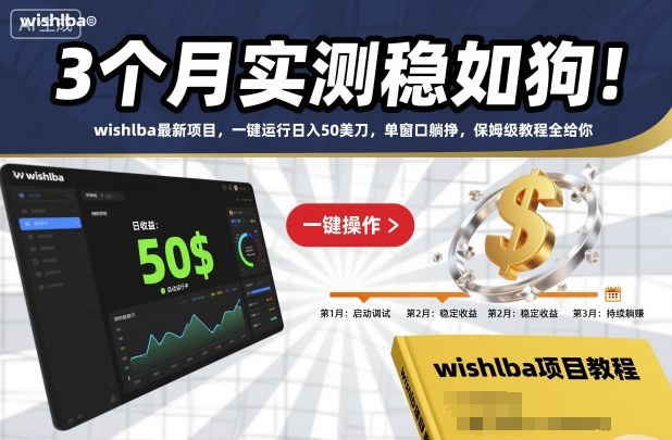 3个月实测稳如狗!wishlba最新项目,一键运行日入50美刀,单窗口躺挣,保姆级教程全给你【揭秘】-泱泱学习社