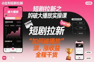 短剧拉新之小红书如何破大播放实操课，如何破播放，涨收益，全程干货-泱泱学习社