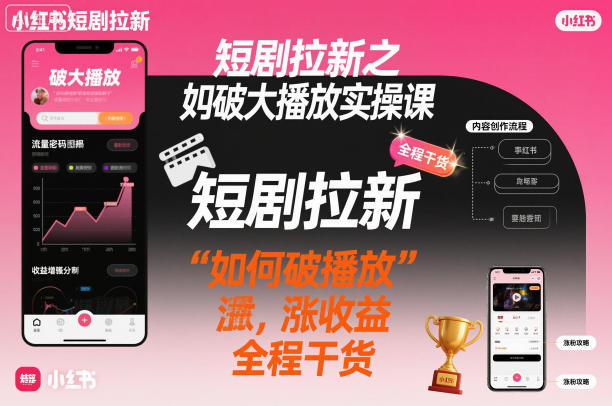 短剧拉新之小红书如何破大播放实操课，如何破播放，涨收益，全程干货-泱泱学习社