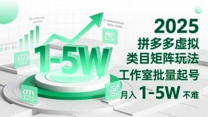 2025 拼多多虚拟类目矩阵玩法，工作室批量起号，月入 1-5W 不难-泱泱学习社
