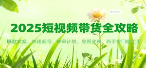 2025短视频带货全攻略：爆款文案，快速起号，种草计划，星图变现，新手零门槛上手-泱泱学习社