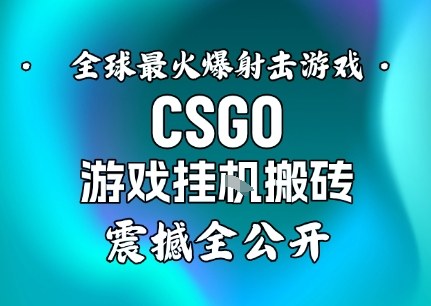 【年底大揭秘】基于全球最火爆的射击CSGO游戏挂G搬砖,日入5张+,震撼公开-泱泱学习社