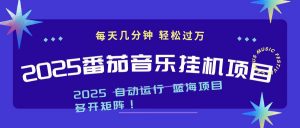 2025最新挂机番茄音乐项目，每天几分钟，日入1000＋-泱泱学习社