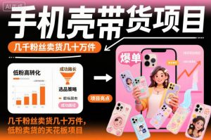 手机壳带货项目，几千粉丝卖货几十万件，短视频低粉卖货的天花板项目-泱泱学习社