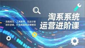 淘系系统运营进阶课2.0，流程规范、工具教学、实战诊断，进阶突破，打造高盈利店铺模型-泱泱学习社