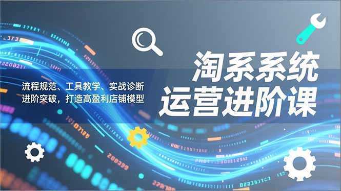 淘系系统运营进阶课2.0，流程规范、工具教学、实战诊断，进阶突破，打造高盈利店铺模型-泱泱学习社