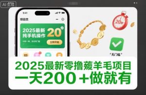 2025最新零撸薅羊毛项目，纯手机操作，20秒一单，无任何门槛，一天200+做就有【揭秘】-泱泱学习社