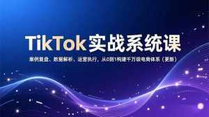 TikTok实战系统课，案例复盘、数据解析、运营执行，从0到1构建千万级电商体系(更新-泱泱学习社