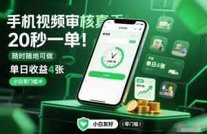 手机视频审核真香！20秒一单，随时随地可做，单日收益4张，小白零门槛冲【揭秘】-泱泱学习社