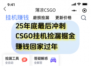 12月年底抓紧最后一个月，用CSGO游戏挂机捡漏掘金赚钱掘金，一部手机轻松日入500+-泱泱学习社