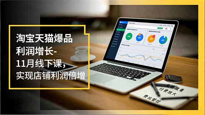 淘宝天猫爆品利润增长-11月线下课,免费流量、付费放大、费比管控,实现店铺利润倍增-泱泱学习社