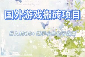 国外游戏搬砖项目，日入1k+，全自动解放双手，新手小白也可做【揭秘】-泱泱学习社