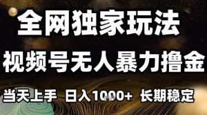 年底最新独家视频号无人直播撸礼物,小白也能轻松日入1k+,长期稳定,可批量复制【揭秘】-泱泱学习社