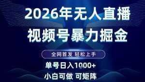 2026最新视频号无人直播掘金，全网首发，小白可以玩，长期稳定日入1k+【揭秘】-泱泱学习社