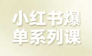 小红书爆单系列课，聚焦小红书电商全链路增长(更新)-泱泱学习社