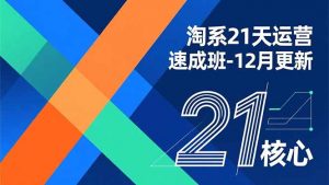 淘系21天运营速成班-12月更新，能够快速复制落地，系统掌握淘系盈利运营的核心技能-泱泱学习社